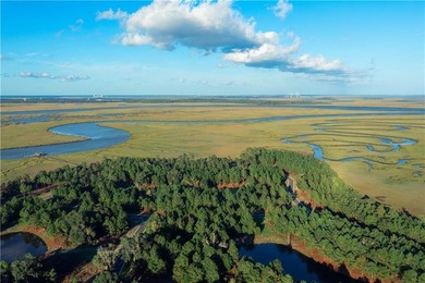 Seize the opportunity to own a 0.39-acre lot in the desirable - photo 22