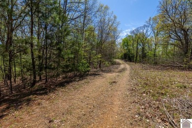 This 34.5+/- acre tract in Calloway County, Kentucky presents a - photo 22