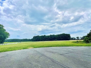 Large waterfront cul de sac lot in the community of Baywatch in - photo 4