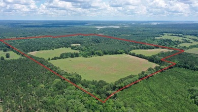 For the first time in decades, this remarkable 231 acre East - photo 1
