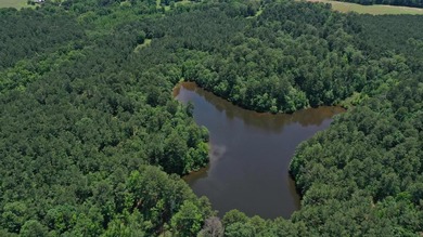 For the first time in decades, this remarkable 231 acre East - photo 2