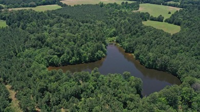 For the first time in decades, this remarkable 231 acre East - photo 3