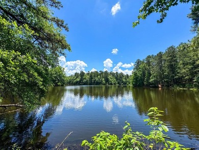 For the first time in decades, this remarkable 231 acre East - photo 5
