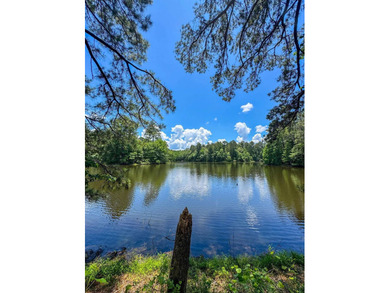For the first time in decades, this remarkable 231 acre East - photo 6