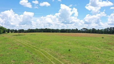 For the first time in decades, this remarkable 231 acre East - photo 10