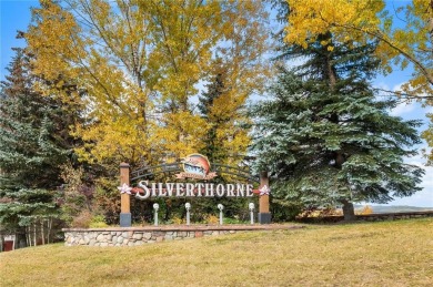 Dillon Reservoir Condo For Sale in Silverthorne Colorado