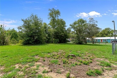 This home offers 2356 sq ft of living area! Situated on .46 acre - photo 44