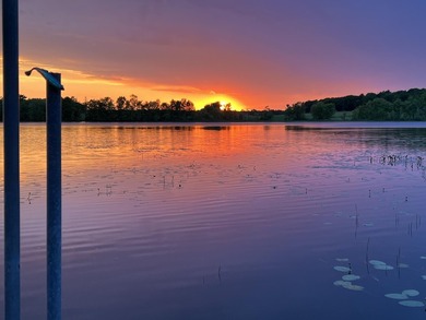 **OPEN HOUSE** Saturday, July 11th 1pm-2pm This Pleasant Pond - photo 3