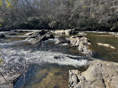 (private lake, pond, coastal) Acreage For Sale in Demorest Georgia