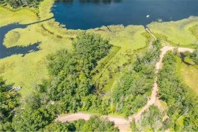 Lake Lot For Sale in Meadowbrook Twp, Minnesota