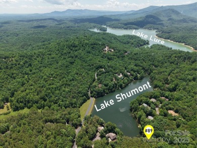(private lake, pond, creek) Lot For Sale in Lake Lure North Carolina