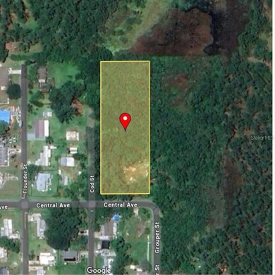 Lake Lizzie Lot For Sale in ST Cloud Florida