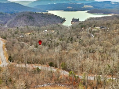 Build in Rock Harbor: .84-Acre Wooded Lot + Norris Lake Access - photo 30