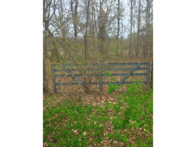 (private lake, pond, creek) Acreage For Sale in Big Rapids Michigan