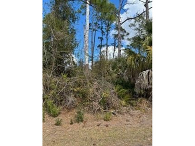 Great location close to shopping and newer homes - photo 2