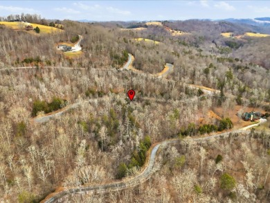 Build in Rock Harbor: .84-Acre Wooded Lot + Norris Lake Access - photo 27
