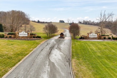 Build in Rock Harbor: .84-Acre Wooded Lot + Norris Lake Access - photo 11