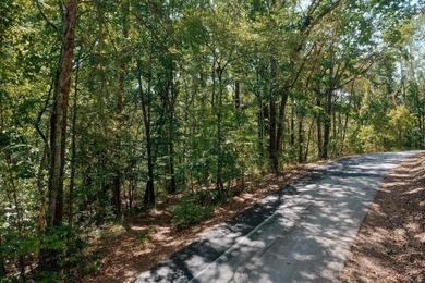 Lake Lanier Lot For Sale in Cumming Georgia