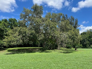 Organic farm, 2.79 acres of upland pasture after carving out the - photo 13