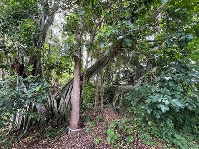 Organic farm, 2.79 acres of upland pasture after carving out the - photo 15