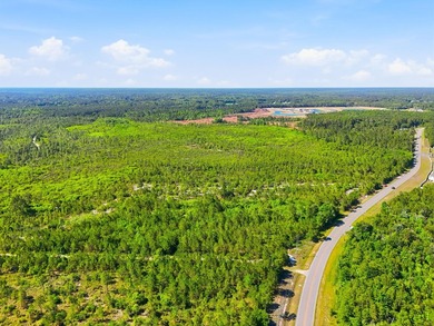 Unlock the potential of this expansive 193-acre property located - photo 18