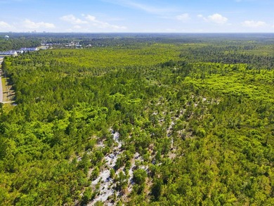 Unlock the potential of this expansive 193-acre property located - photo 21