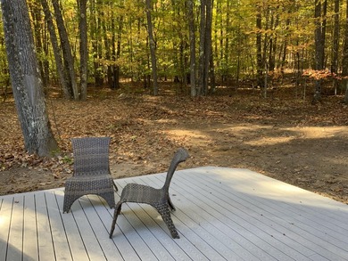 Beautiful vacation getaway with mother-in-law apartment on the - photo 28
