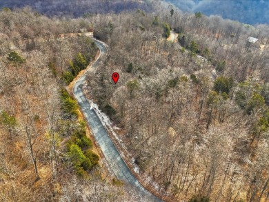 Build in Rock Harbor: .84-Acre Wooded Lot + Norris Lake Access - photo 20