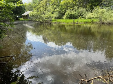 (private lake, pond, creek) Acreage For Sale in Cochecton New York