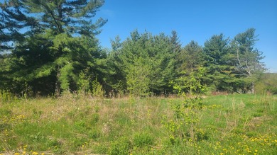 This .28 acres lot is located on a quiet side Street overlooking - photo 3