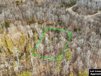 Build in Rock Harbor: .84-Acre Wooded Lot + Norris Lake Access - photo 17