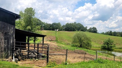 Horse farm! Horse lovers and equestrian enthusiasts take note! - photo 31