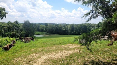 Horse farm! Horse lovers and equestrian enthusiasts take note! - photo 36
