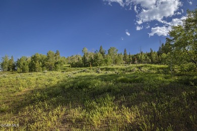 Experience mountain living at its finest in this stunning - photo 38