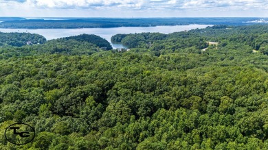 Lake Acreage For Sale in Savannah, Tennessee