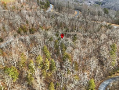 Build in Rock Harbor: .84-Acre Wooded Lot + Norris Lake Access - photo 18