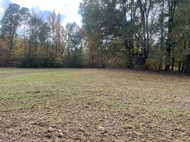 Discover a rare opportunity to own 360+/- acres of mature, mixed - photo 12