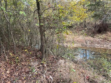 Discover a rare opportunity to own 360+/- acres of mature, mixed - photo 15
