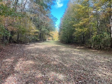 Discover a rare opportunity to own 360+/- acres of mature, mixed - photo 16