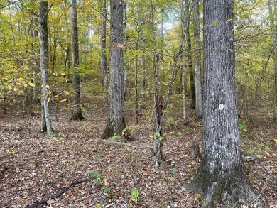 Discover a rare opportunity to own 360+/- acres of mature, mixed - photo 17