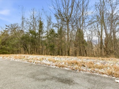 Build in Rock Harbor: .84-Acre Wooded Lot + Norris Lake Access - photo 3