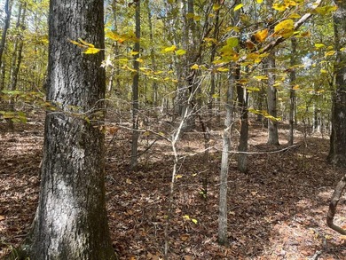 Discover a rare opportunity to own 360+/- acres of mature, mixed - photo 18
