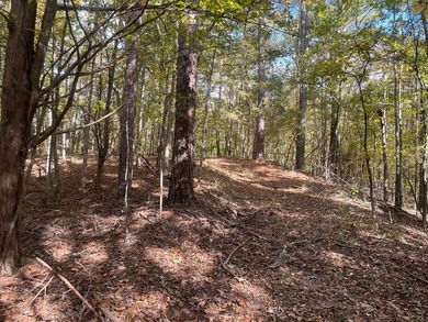 Discover a rare opportunity to own 360+/- acres of mature, mixed - photo 20