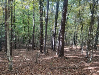 Discover a rare opportunity to own 360+/- acres of mature, mixed - photo 21