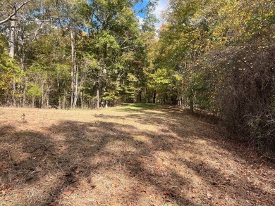 Discover a rare opportunity to own 360+/- acres of mature, mixed - photo 22