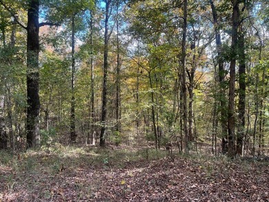 Discover a rare opportunity to own 360+/- acres of mature, mixed - photo 23