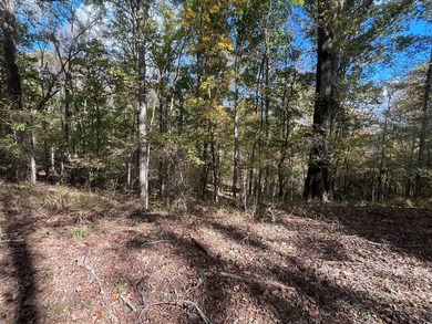 Discover a rare opportunity to own 360+/- acres of mature, mixed - photo 25