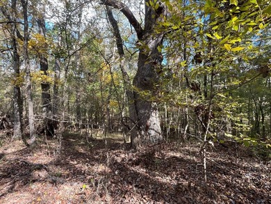 Discover a rare opportunity to own 360+/- acres of mature, mixed - photo 26