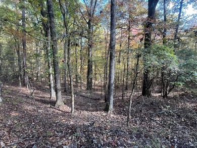 Discover a rare opportunity to own 360+/- acres of mature, mixed - photo 27