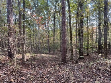 Discover a rare opportunity to own 360+/- acres of mature, mixed - photo 28